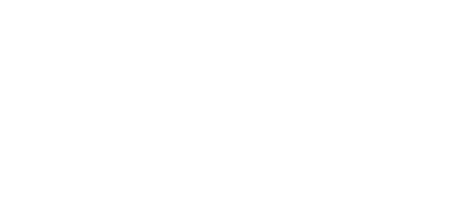 AESDP